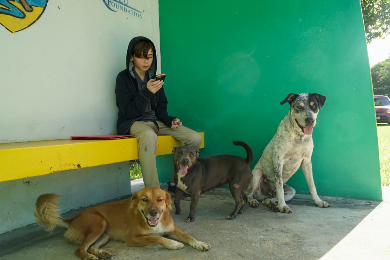 Guam in Photos 2019 - August - Busing hiccups mark first day of public school